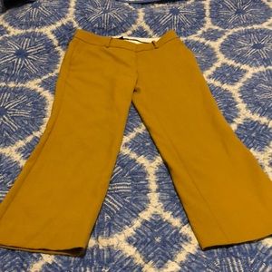 Ann Taylor pants